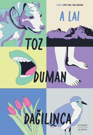 Toz DumanDağılınca