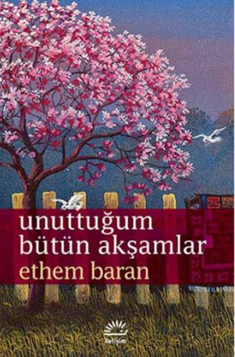 Unuttuğum Bütün Akşamlar Mark T. Mustian
