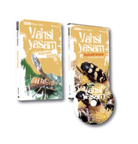 Vahşi Yaşam 2/ Alışılmadık Böcekler (Ciltli)