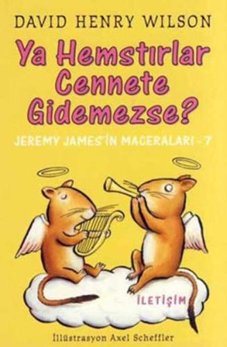 Ya Hemstırlar Cennete Gidemezse? David Henry Wilson