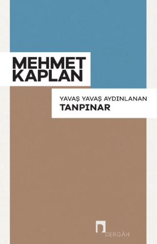 Yavaş Yavaş Aydınlanan Tanpınar Arno Schmidt