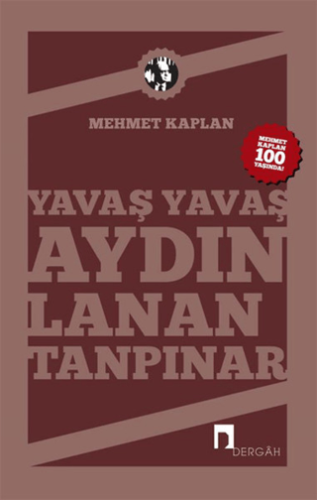 Yavaş Yavaş Aydınlanan Tanpınar Arno Schmidt