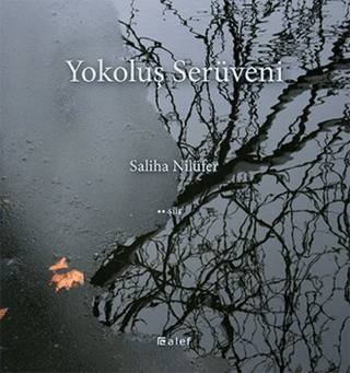 Yokoluş Serüveni Jean-François Solnon