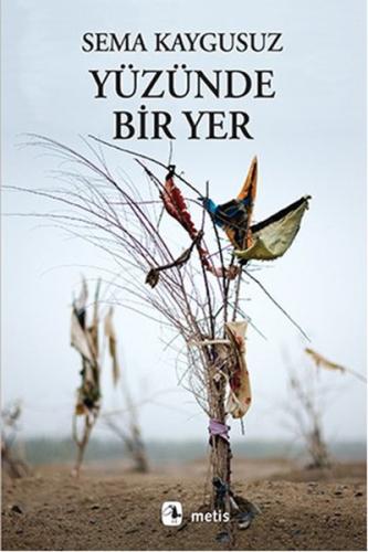 Yüzünde Bir Yer Pieter Koolwjik